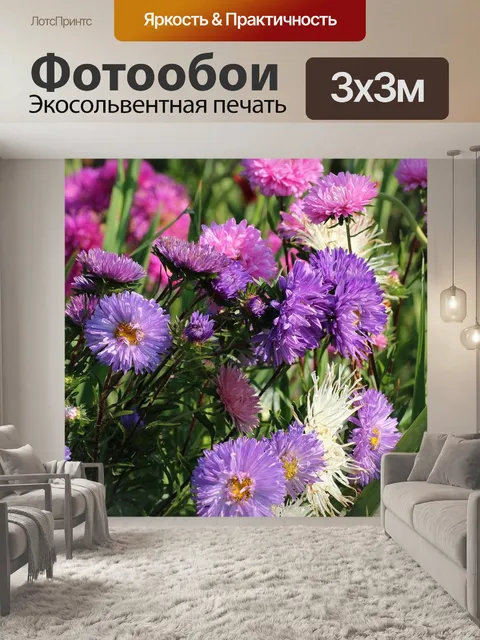 Фотообои Астры