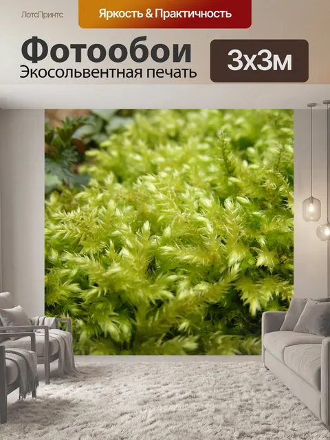 Фотообои Грин