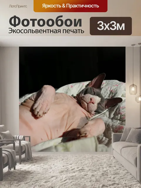 Фотообои Сфинкс на солнце