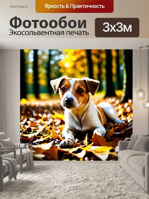 Фотообои близкий план джек рассел терьера, лежащего на опавших листьях