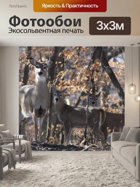 Фотообои Олень