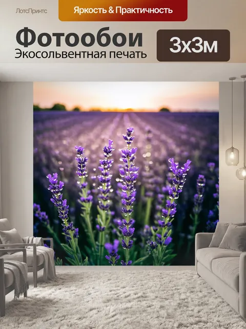 Фотообои рассвет над цветущим полем лаванды, где утренний россыпь покрывает цветы