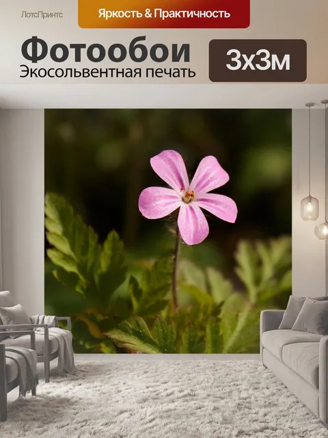Фотообои Герань роберта