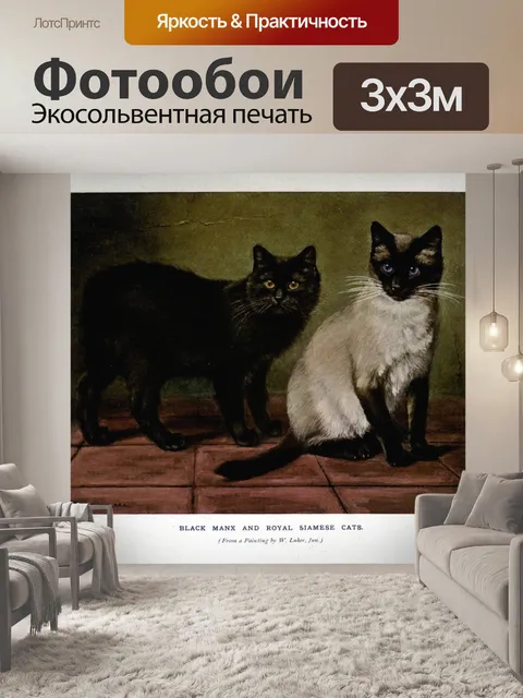 Фотообои Кошка котенок рисует старый