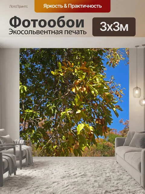 Фотообои смена листьев на дереве