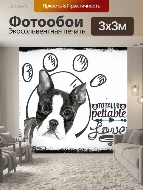 Фотообои Бостон терьер щенок