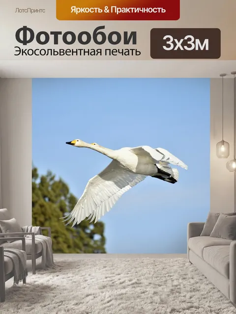 Фотообои Животное