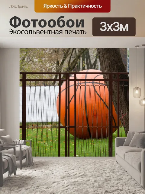 Фотообои Большой баскетбол