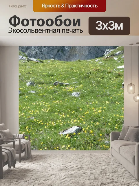 Фотообои Луга