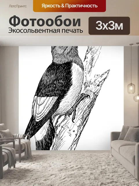 Фотообои Иллюстрация дятел Clipart