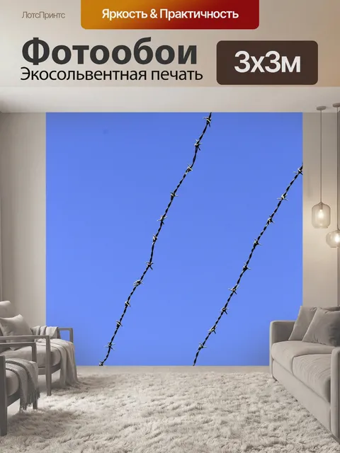 Фотообои Колючей проволоки