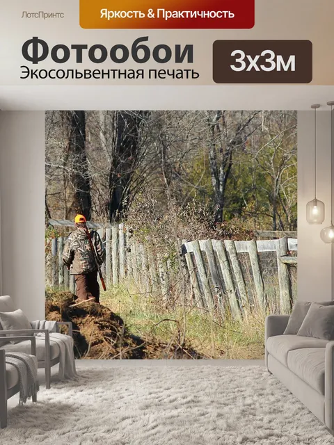 Фотообои Охотник