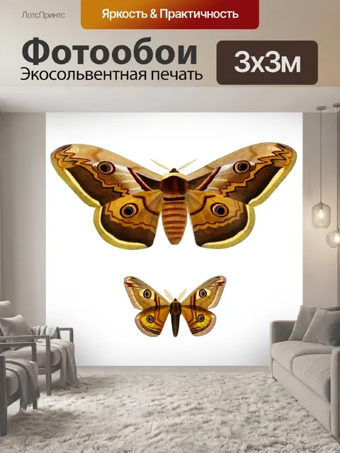 Фотообои Винтажное искусство бабочки мотыльки