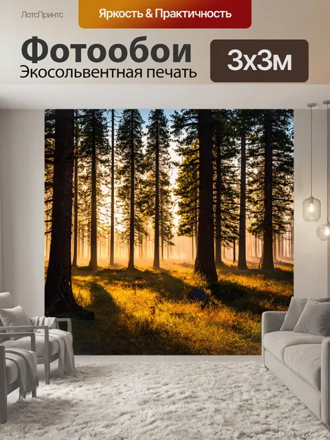 Фотообои вечерние теневые игры и светлые линии от сосен
