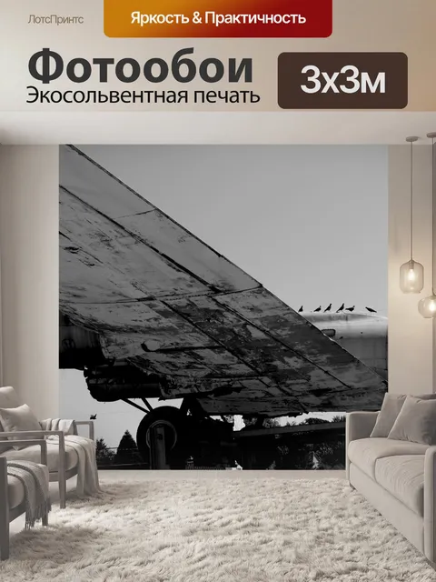 Фотообои Черно-белый самолета