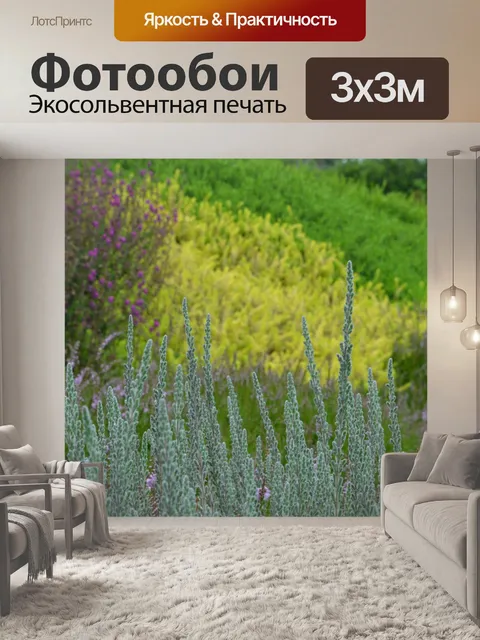 Фотообои Вереск