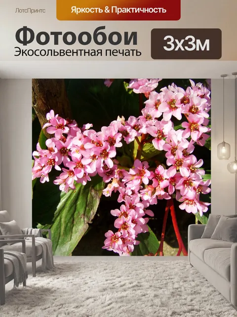 Фотообои Кожный лист цветок