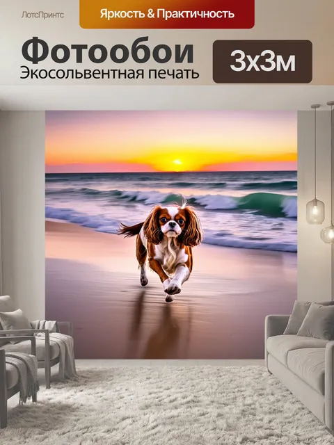 Фотообои вечерний пейзаж на пляже, где кавалер кинг чарльз спаниель весело бегает по песку, играя с волнами