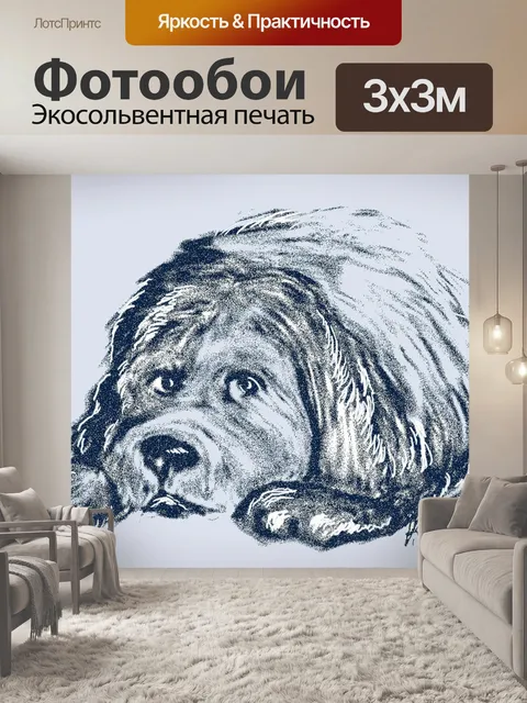 Фотообои Ньюфаундленд