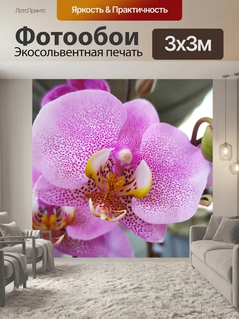Фотообои Цветок