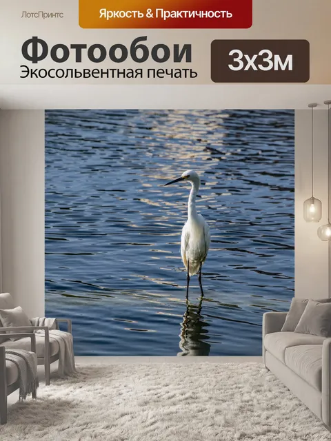 Фотообои Снежная цапля Постоянная вода