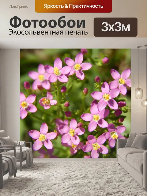 Фотообои Полевые цветы