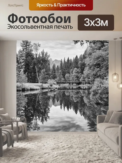Фотообои Йосемити 4 BW