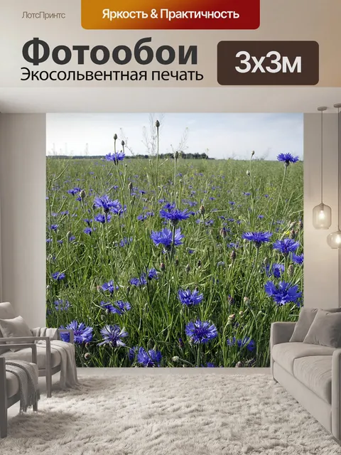 Фотообои Васильки