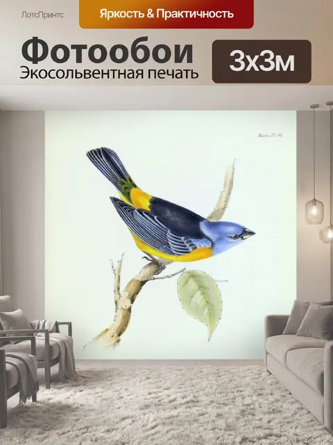 Фотообои Винтажная птица старая иллюстрация