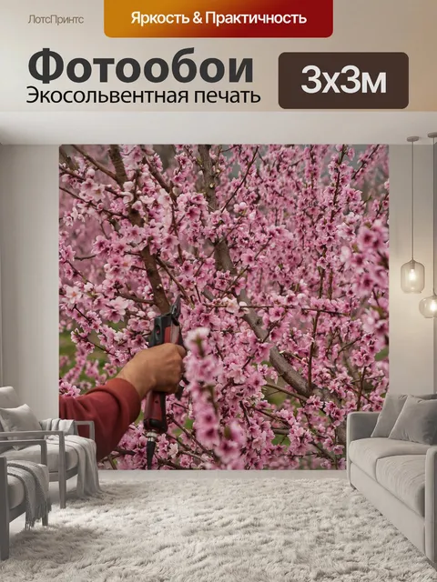 Фотообои Чернослив