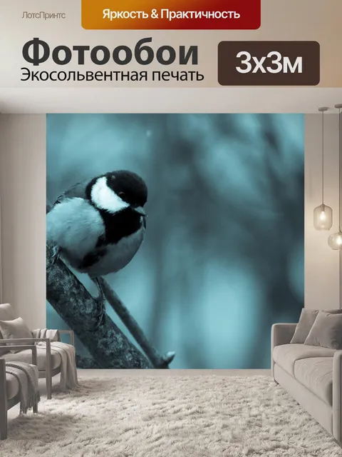 Фотообои Большая синица