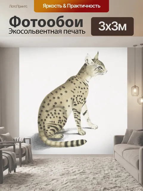Фотообои Азиатская дикая кошка