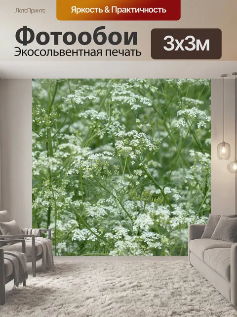 Фотообои Луговой кервель