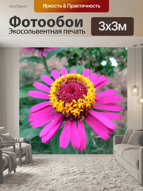 Фотообои Цветы
