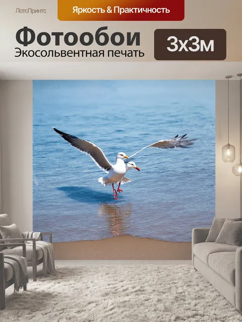 Фотообои сияющая чайка, парящая над спокойными водами залива, с красной клювом и белыми перьями, отражается в яркой…