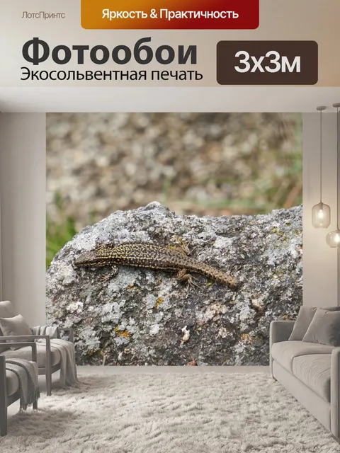 Фотообои Зеленая ящерица на солнце