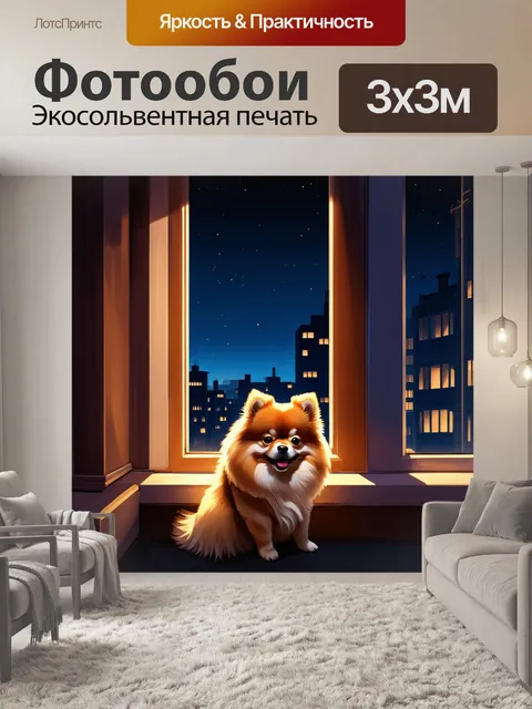 Фотообои ночной городской пейзаж с карликовым шпицем, наблюдающим за огнями ниже с подоконника