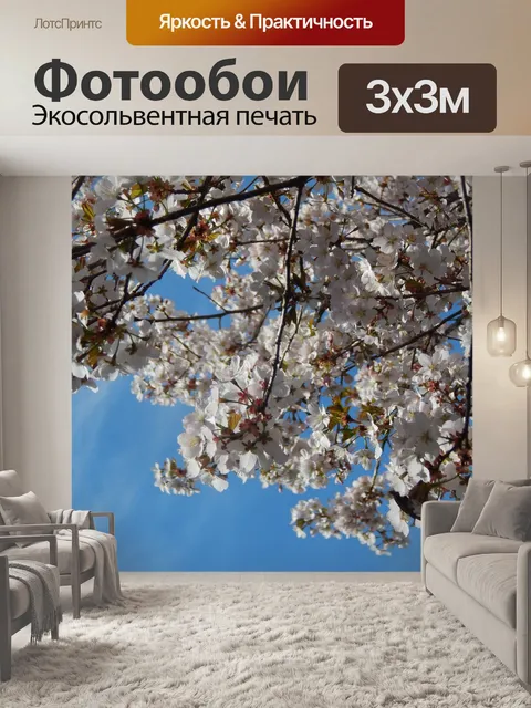 Фотообои Небо