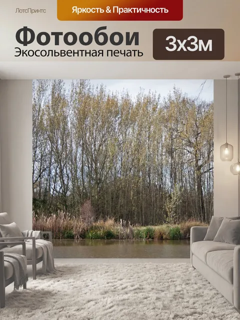 Фотообои Высокие деревья, выстилающие воду