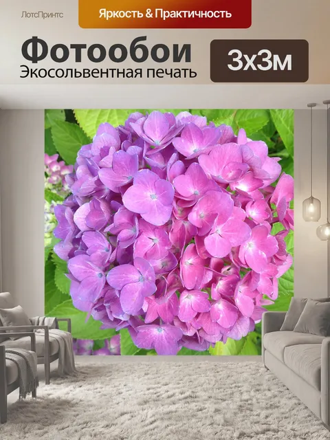 Фотообои Гортензия