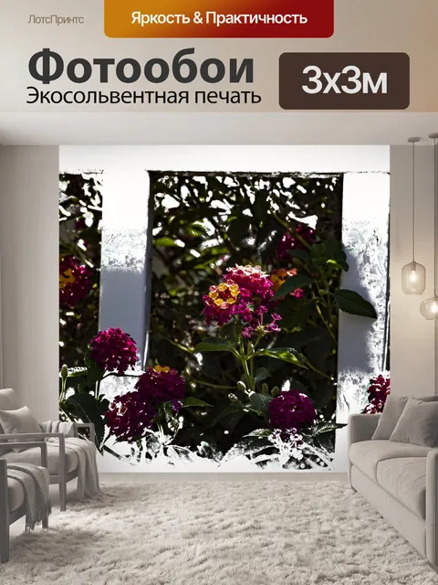 Фотообои Розовые цветы белый забор