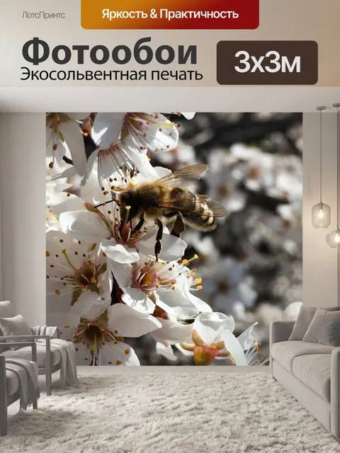 Фотообои Белый цветок