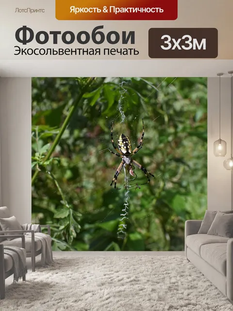 Фотообои Желтый сад паук