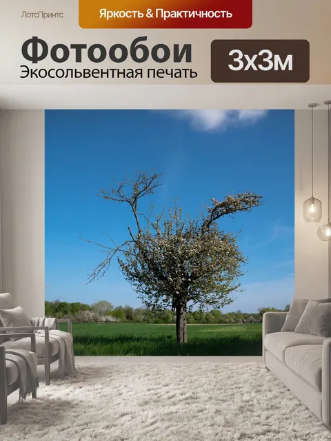 Фотообои Дерево