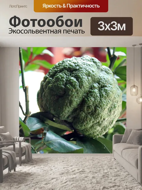 Фотообои Зеленые плоды