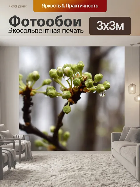 Фотообои Дождь мокрые почки сакуры
