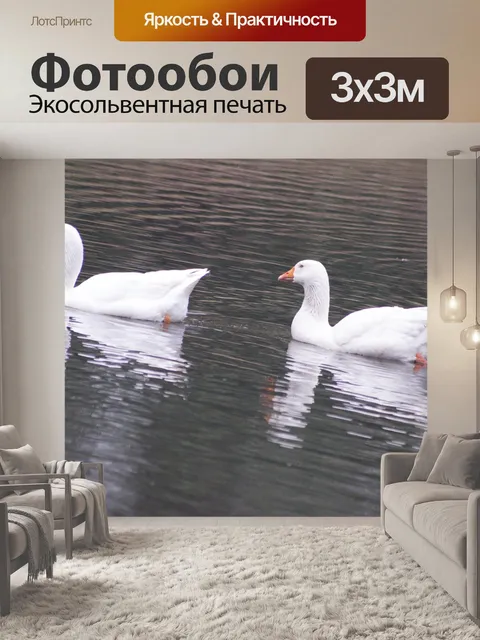 Фотообои Белые гуси