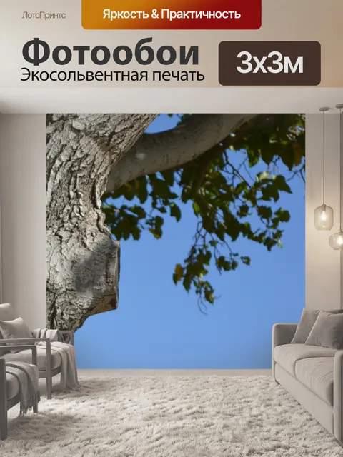 Фотообои Отделения листа дерева природный парк