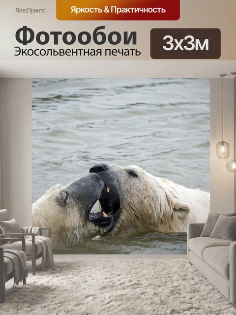 Фотообои Полярный медведь