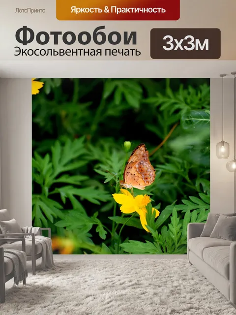 Фотообои Бабочка